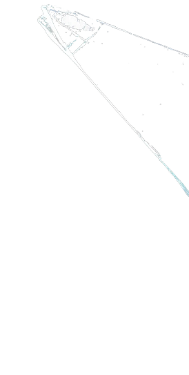 Background illustration