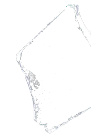 reffering-shard-mobile